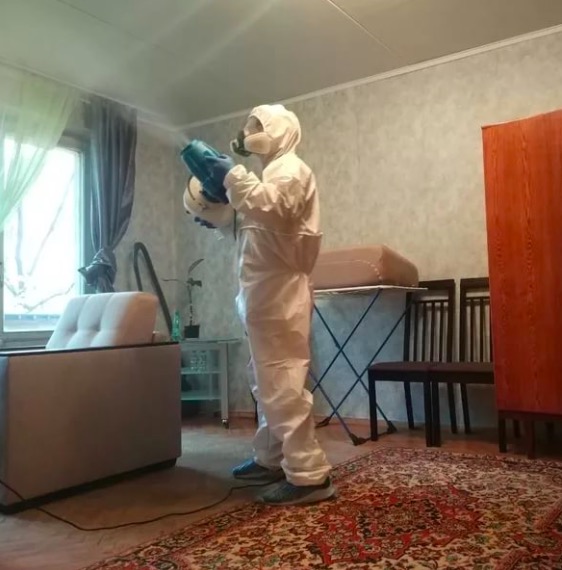 дезинсекция квартиры в Коломне